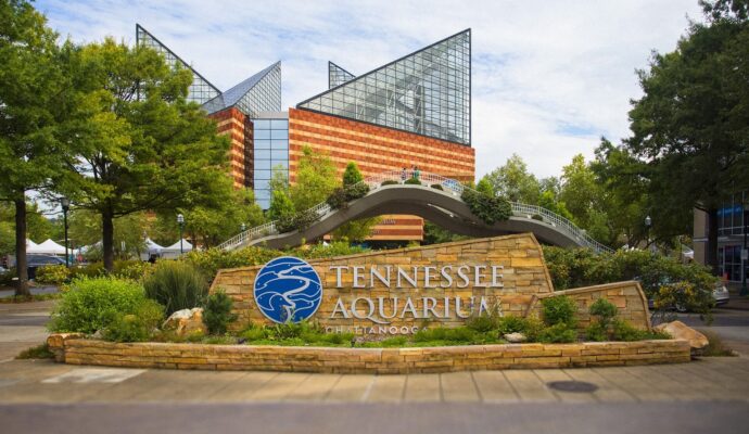 LSS Tennessee - Chattanooga-TN LSS Tennessee - Chattanooga-TN